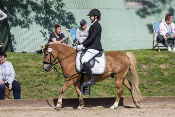 Bild 579 - Pony Akademie Turnier